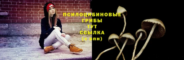ПСИЛОЦИБИНОВЫЕ ГРИБЫ Горнозаводск