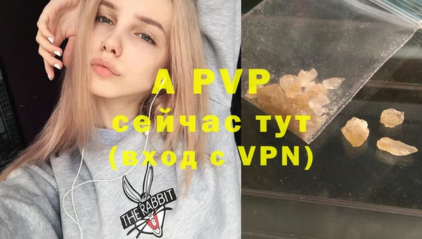 МДПВ Горняк