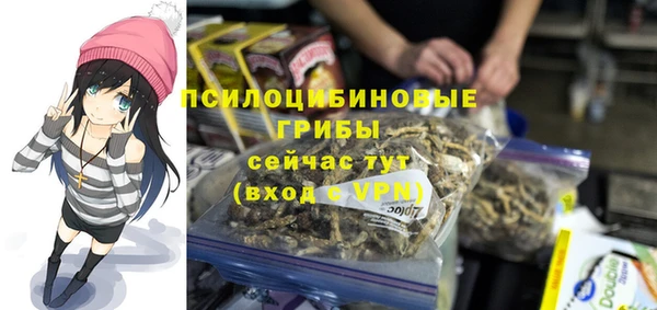 метадон Гусь-Хрустальный