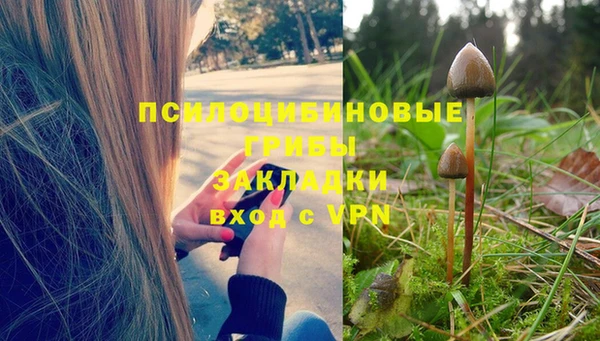 ПСИЛОЦИБИНОВЫЕ ГРИБЫ Горнозаводск