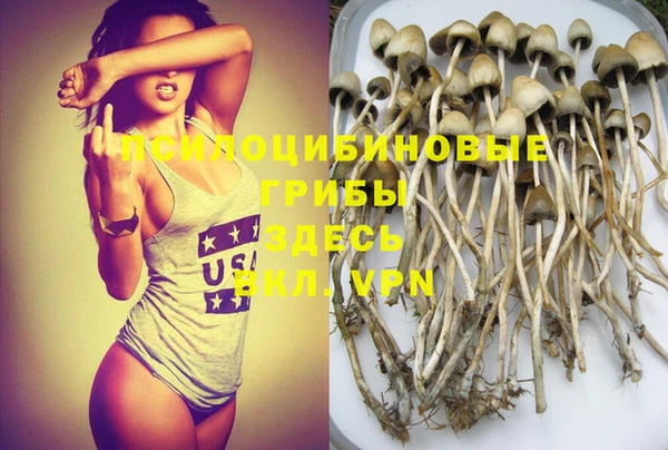 гашик Чегем
